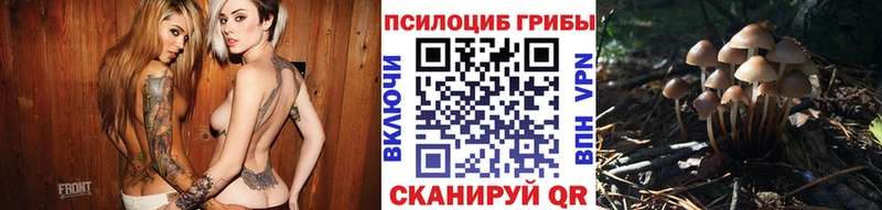 Псилоцибиновые грибы прущие грибы  Купить  Красноперекопск 